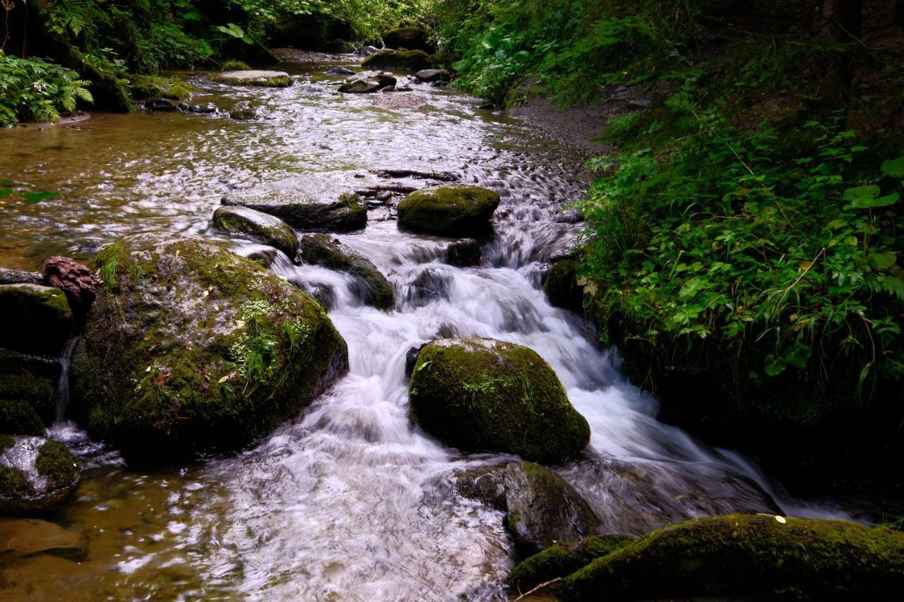 Erlebnisbauernhof Steinerhof In Kaernten Liebenfels Dış mekan fotoğraf